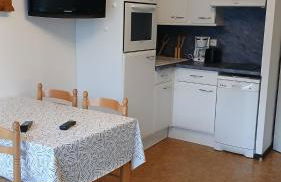 Appar T2 3 lits vue montagne terrasse vielle aure - Foto 1