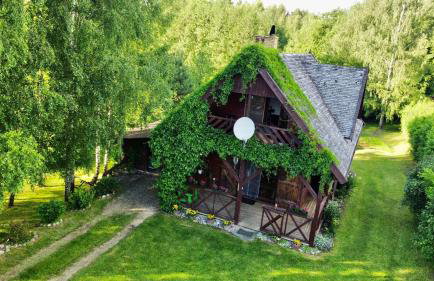 Brzozowy Chillout - Foto 1