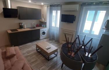 3 Apt T2 COSY de 40 à 50 M2 Idéal pour un déplacement PRO " Les IRIS " - Foto 16