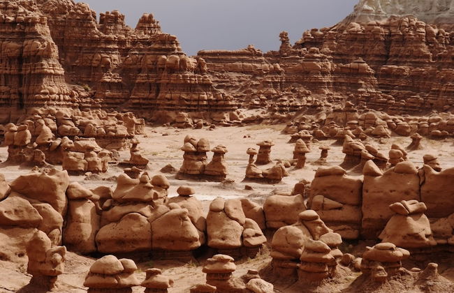 Muddy Creek Mining Company - Foto 49