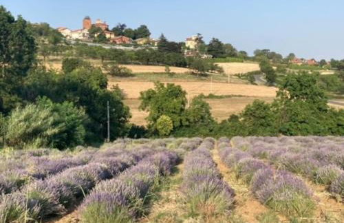 Dolce vita sur la colline de Turin - Foto 30