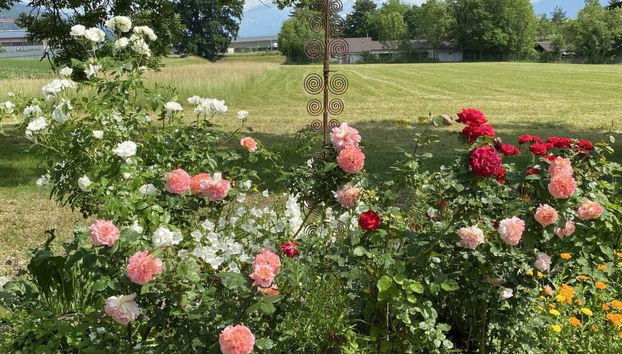 Ferienhaus Oase am Mühlebach - Foto 3, Outdoor