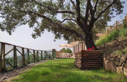 Il Ciuffo: ampia casa panoramica con parcheggio. - Foto 19