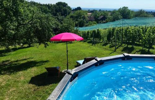 Kuća za odmor Villa Cesarica - Zagreb - Foto 12