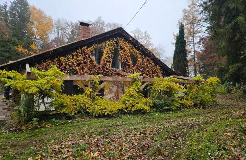 Traumhaus im Wald - Foto 16