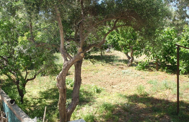 Niriis Hotel - Foto 52