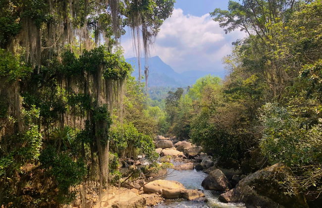 Glamping Villa Transito - Photo 26