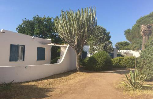 Residenza Gherly - Foto 26