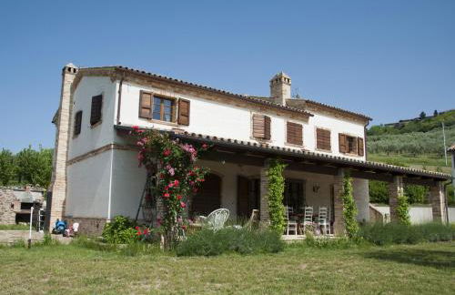 Terra del Sole - Foto 52