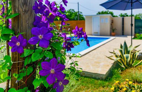 Sunny house - Foto 64