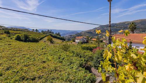 Casa Dona Aninhas - Douro - Photo 5