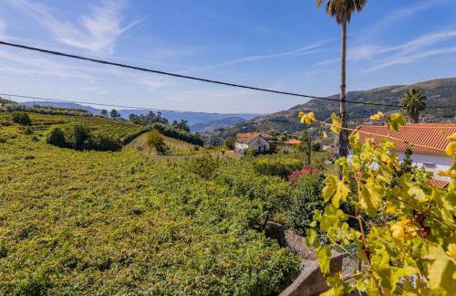 Casa Dona Aninhas - Douro - Foto 5