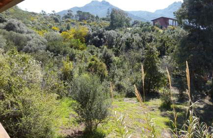 Villa l'orto Portixeddu Sardegna - Foto 17