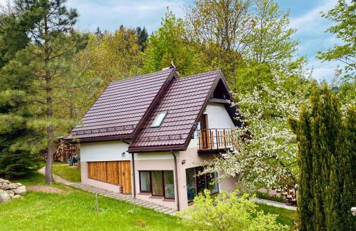 Apartament W Dolinie Modrzewi - Foto 1