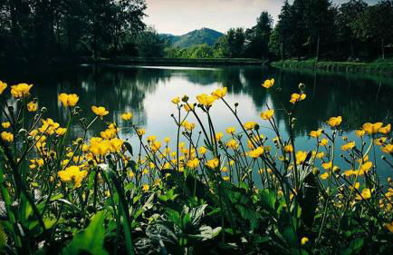 Agriturismo Acero Rosso - Foto 10