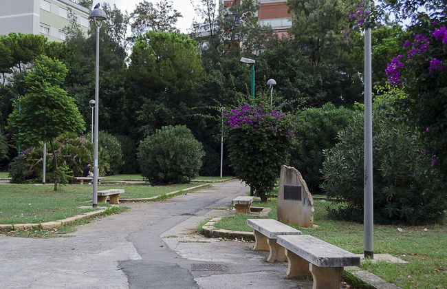 Raffo Rosso - Foto 41