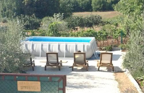 Spignoviza - Foto 62