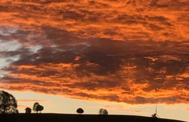 Ferienhof Schonmetzler - Photo 11