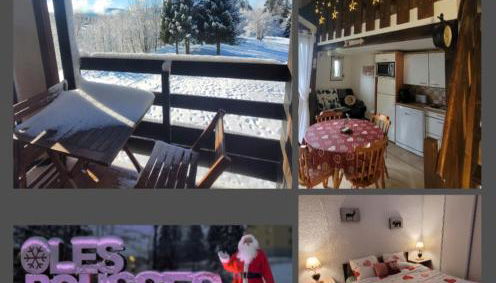 LE CHALET des 3 Sapins, Superbe Duplex Montagnard avec balcon, au calme - Les Rousses, Draps inclus & Parking gratuit - Foto 2