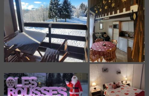 LE CHALET des 3 Sapins, Superbe Duplex Montagnard avec balcon, au calme - Les Rousses, Draps inclus & Parking gratuit - Foto 2