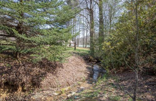 Happy Apple - Foto 13