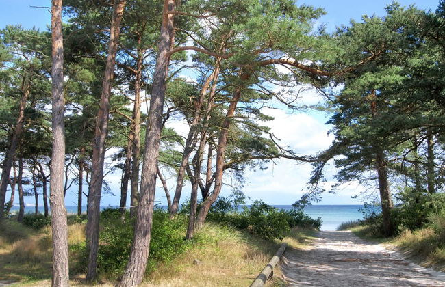 "Bergulv" - 75m from the sea - Foto 4