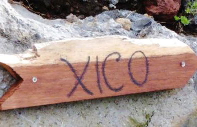 Recanto Terra Alta - Photo 50