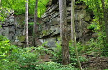 Grubschützer Ferienhäuschen - Foto 21