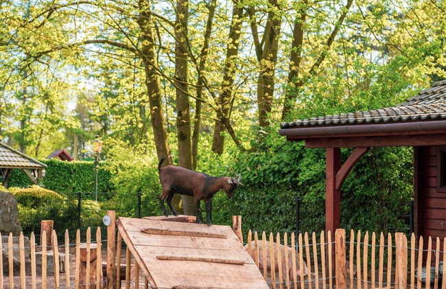 Modern Villa Located in the Achterhoek - Foto 27