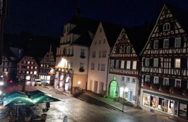 Ferienwohnungen Calwer Höfle City - für Firmen, Handwerker und Monteure - Foto 18