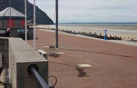 Seaview cottage North Wales - Foto 34