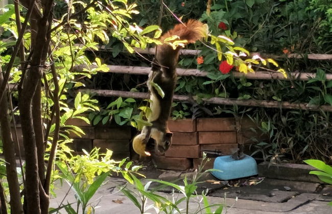 Sandy Serviced Apartment - Foto 45