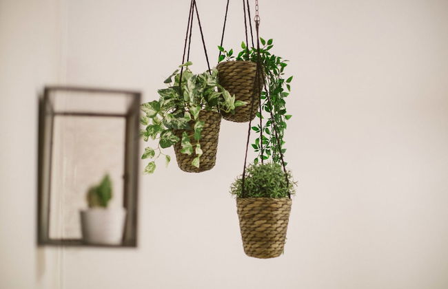 Alteea 2 Deluxe Bucharest Apartments - Foto 11