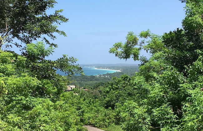 Solet's Paradise Negril - Photo 49