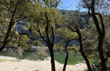 Lézardéchois - Foto 17