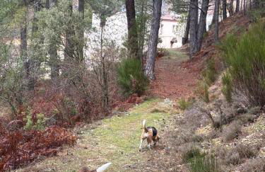 Alojamiento Los Sauces - Rio Madera - Foto 15