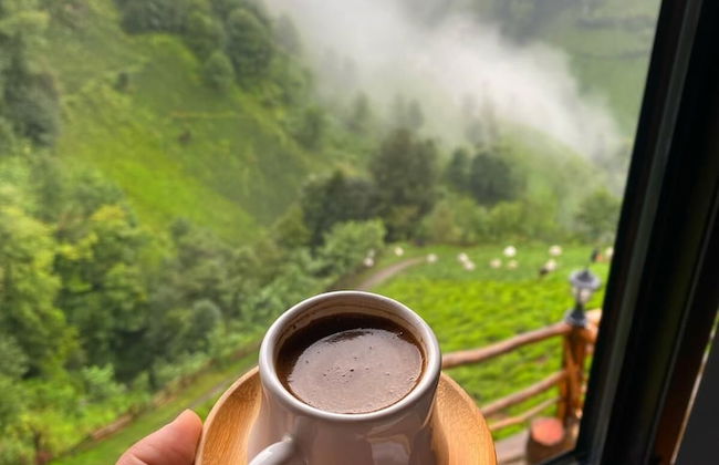 Northland Bungalows - Foto 54