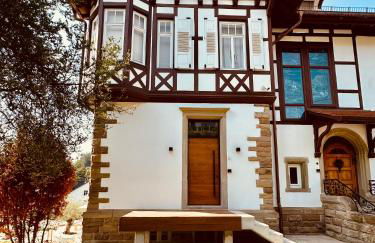 luxuriöse Altbau Wohnung in Denkmal-Villa - Foto 29