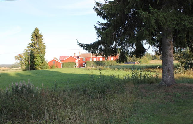 Happy Hudiksvall - Photo 66