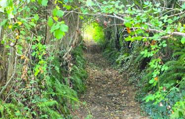 Gîte Pierre, Beynat, Corrèze - Foto 34