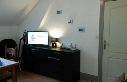 Les Buissonnets - Foto 40