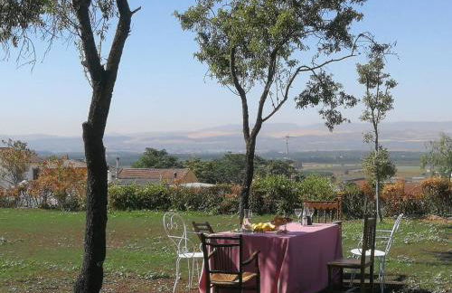 La Casa Grande de Zujaira - Foto 41