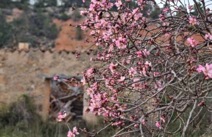 Les Valletes - Foto 13