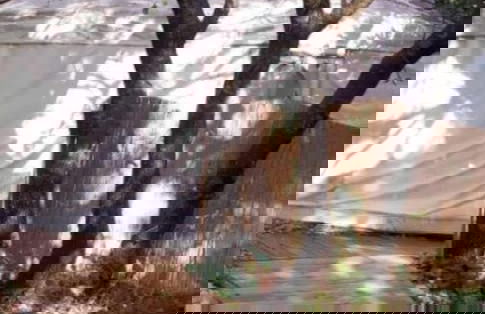 Yurt Located in a Little oak Grove - Photo 16