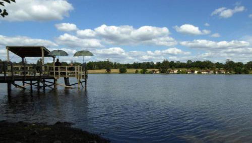 La petite maison de l'étang - Foto 5