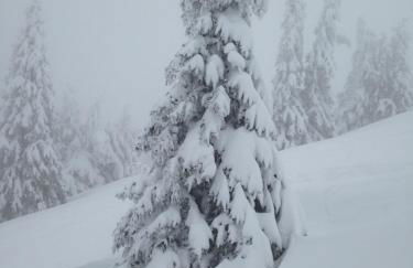Titiseehnsucht - Gemütliche Wohnung mit Parkplatz - Foto 19