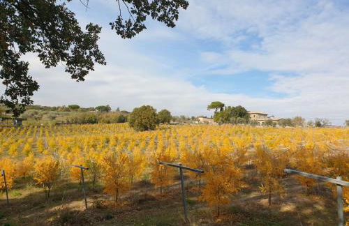 Villa Paladini - Foto 13