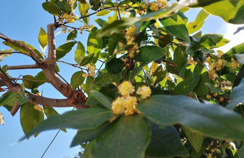 Stonehouse - The Secret Place - Foto 37