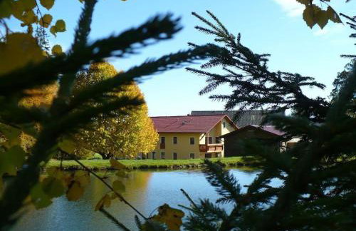 Ferienhof Stöhrmühle - Foto 56