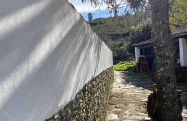 Casa do Vale - Photo 39